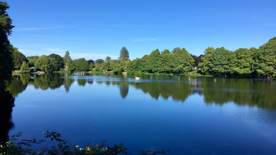 15-best-fun-things-to-do-in-albany-oregon-travel-around