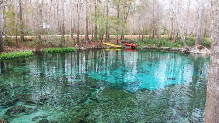 Things To Do In Alachua