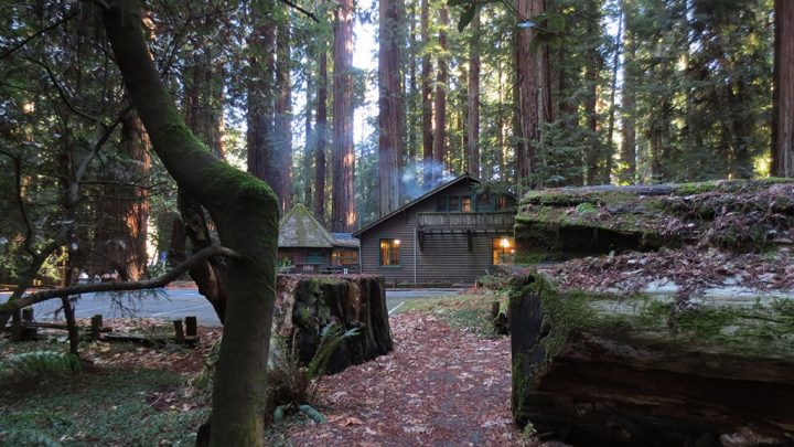 Things To Do In Humboldt County