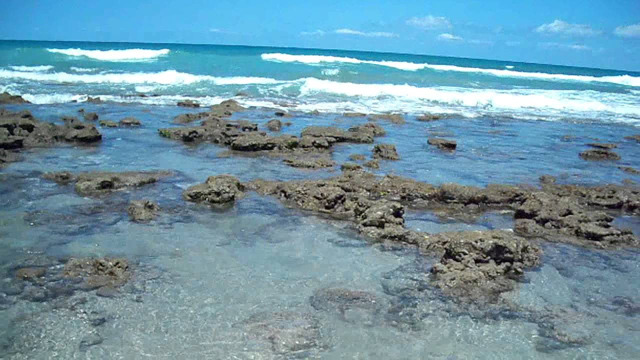Bathtub Reef Beach