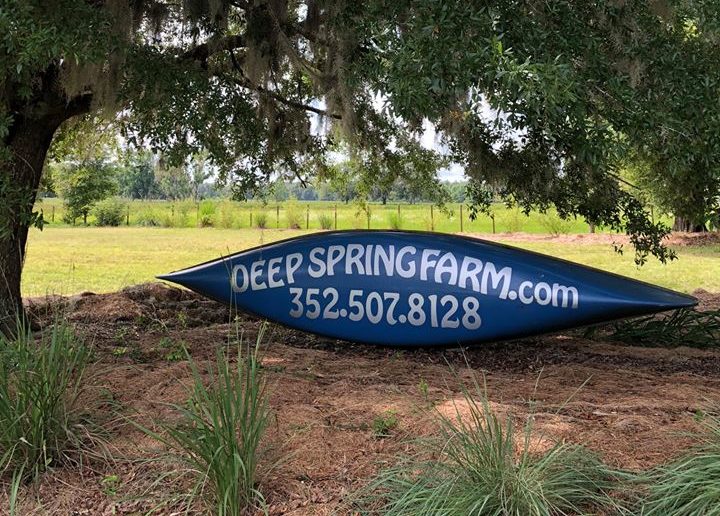 Deep Spring Farm