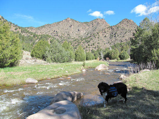 Things to do in canon city