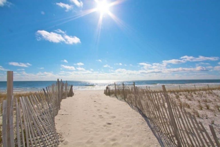 25 Best & Fun Things To Do In Foley (Alabama) Travel Around