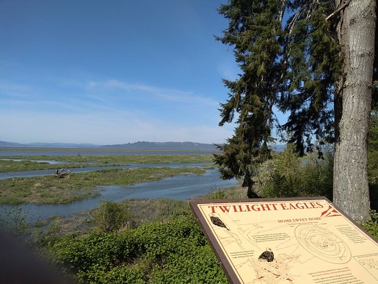 Twilight Eagle Sanctuary and Twilight Marsh