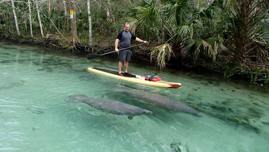 Tampa Bay SUP & Kayaking