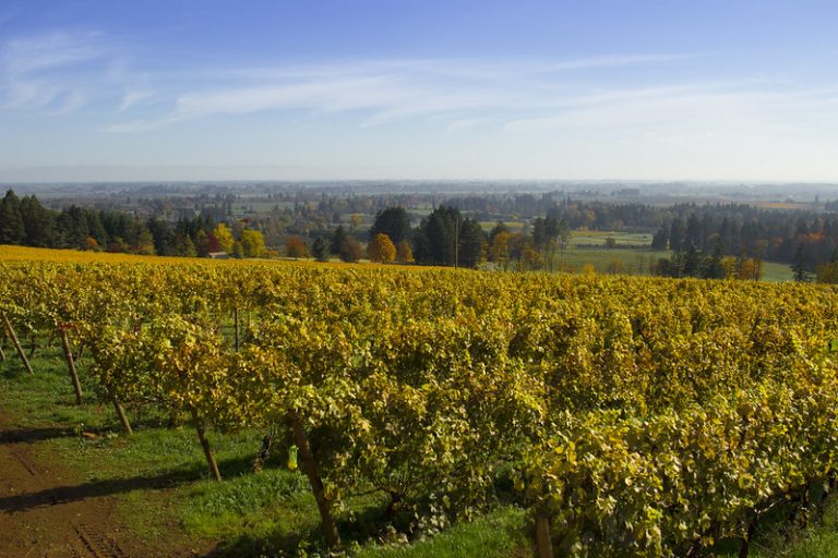 26 Best & Fun Things To Do In Beaverton (Oregon) Travel Around