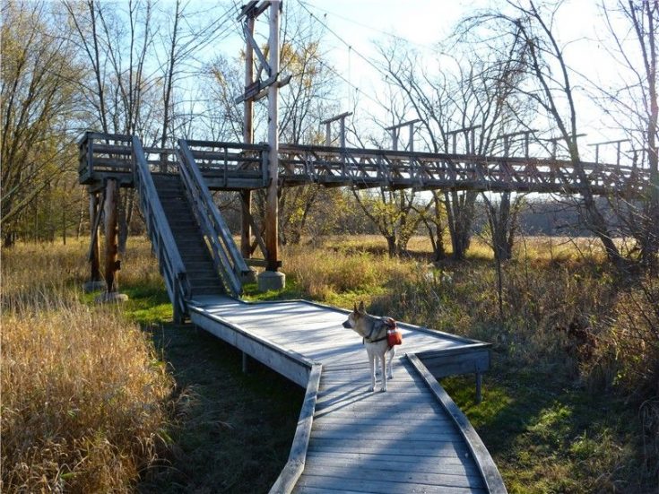 15 Best & Fun Things To Do In Warwick (New York) Travel Around