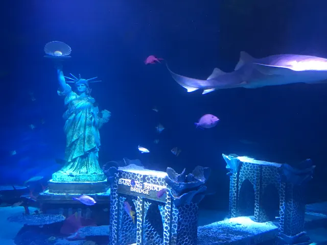 New Jersey SEA LIFE Aquarium