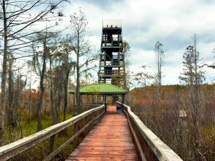 23 Best & Delightful Things to Do in Valdosta Travel Around