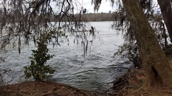 Savannah River Bluffs Heritage Preserve