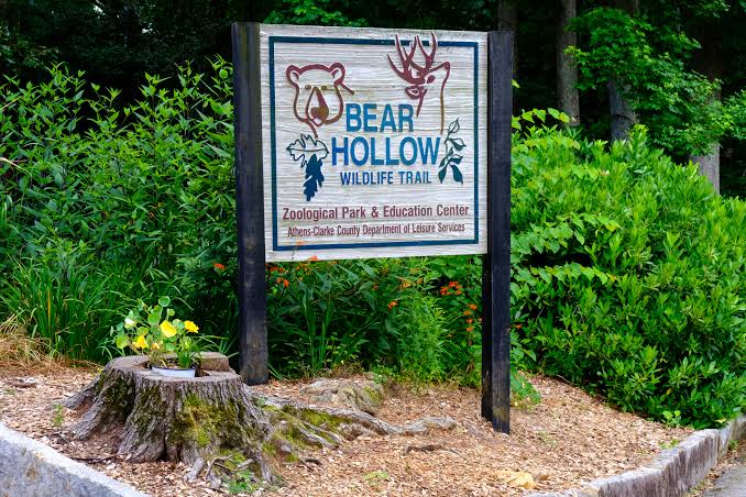 Bear Hollow Wildlife Trail