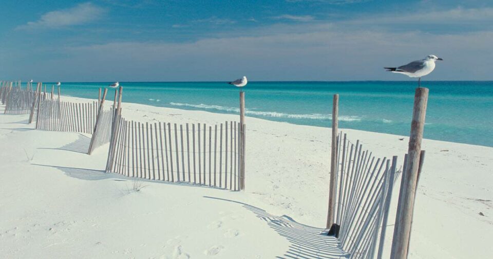 21 Best & Fun Things To Do In Dauphin Island (AL) Travel Around