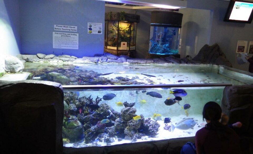 32 Best & Fun Things To Do In Boise (Idaho) Travel Around