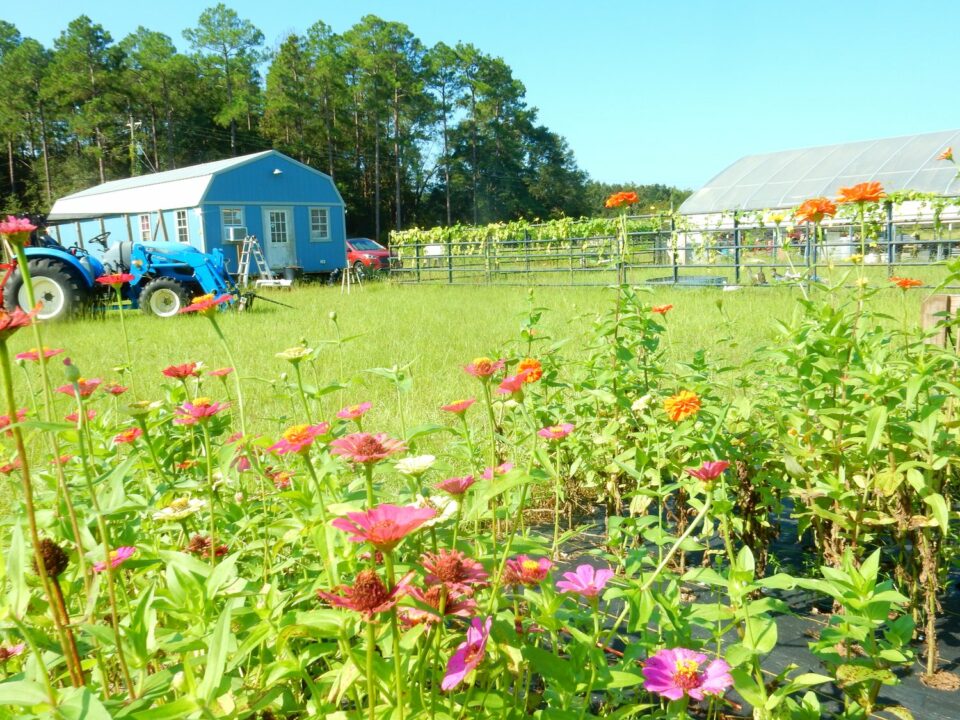 18 Best & Fun Things To Do In Waynesville (NC) Travel Around