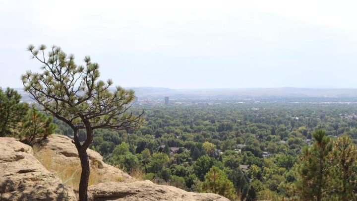 Things to do in billings