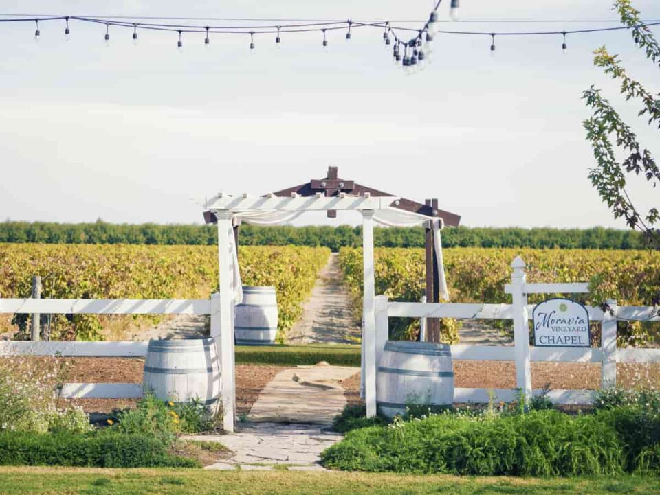 31 Best & Fun Things To Do In Fresno (California) Travel Around