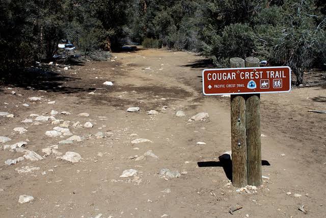 Cougar Crest Trail