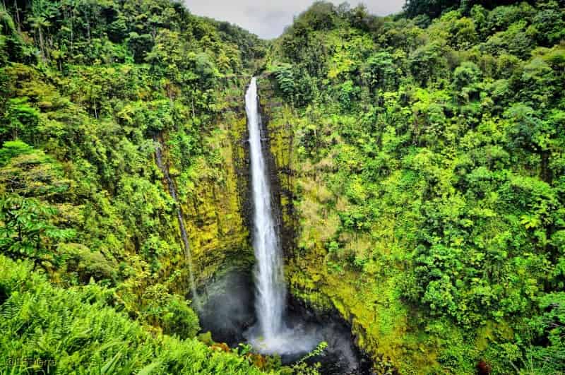 Things to do in Hilo 