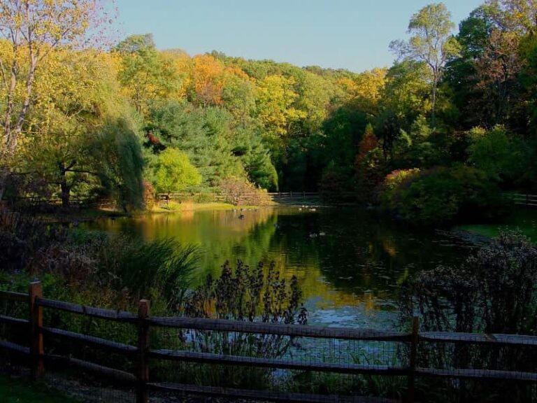 20 Best & Fun Things To Do In King Of Prussia (PA) Travel Around