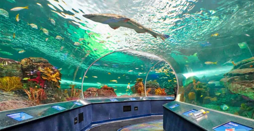 35 Best & Fun Things To Do In Gatlinburg (Tennessee) Travel Around