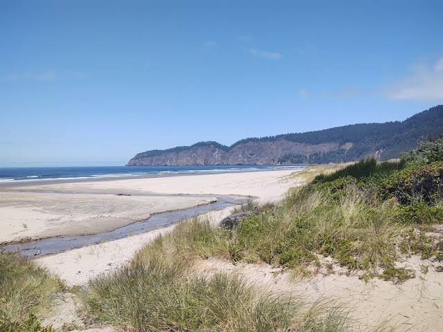 Cape Lookout State Park in Tillamook