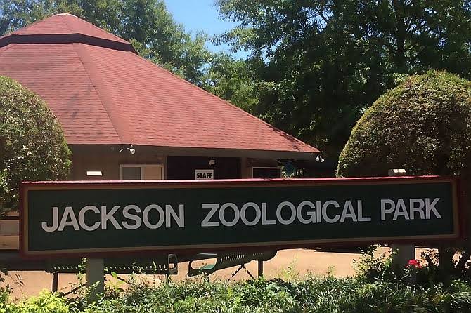 The Jackson Zoo