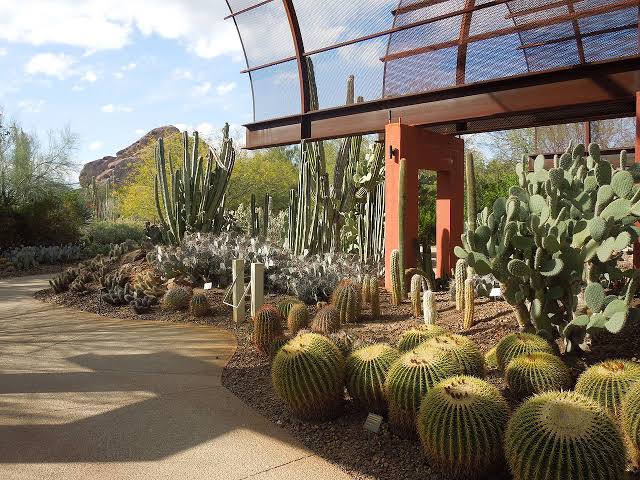 Desert Arboretum Park