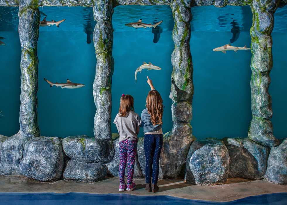 Blue Zoo Aquarium Baton Rouge