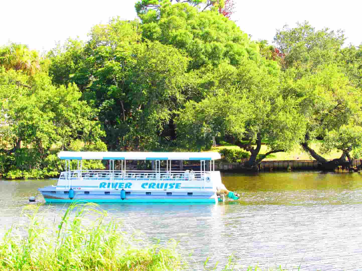 River Lilly Cruises