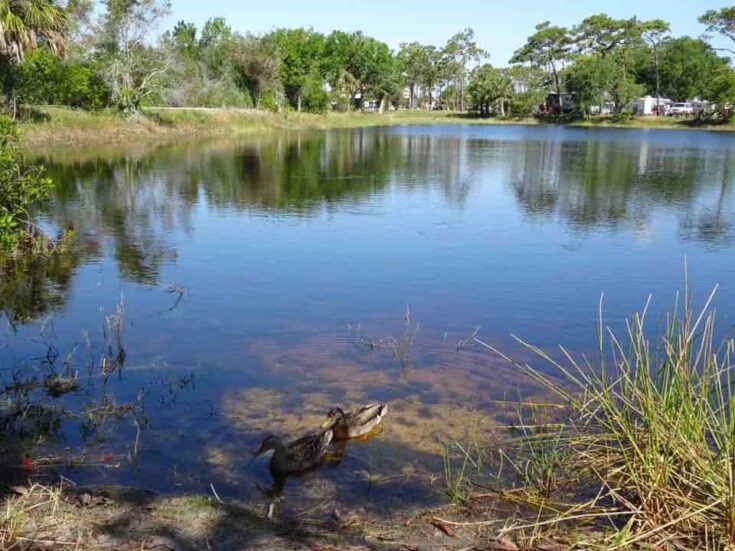 24 Best & Fun Things To Do In Melbourne (Florida) Travel Around Places