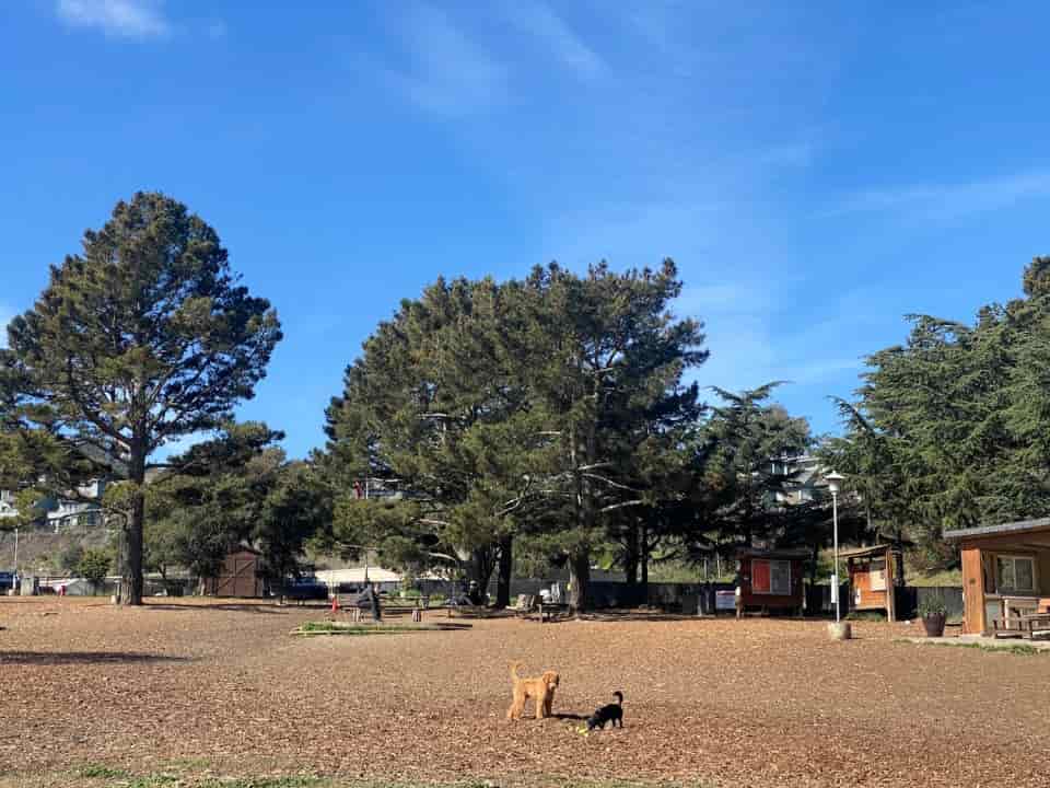 Remington Dog Park, Sausalito