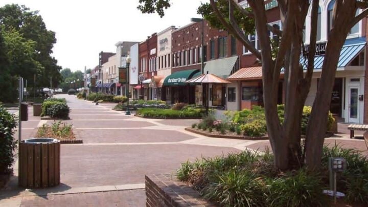 Hickory