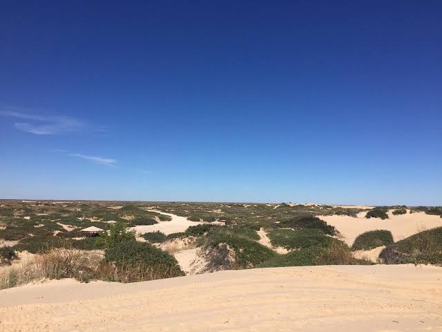 Mescalero Sands North Dune OHV Area