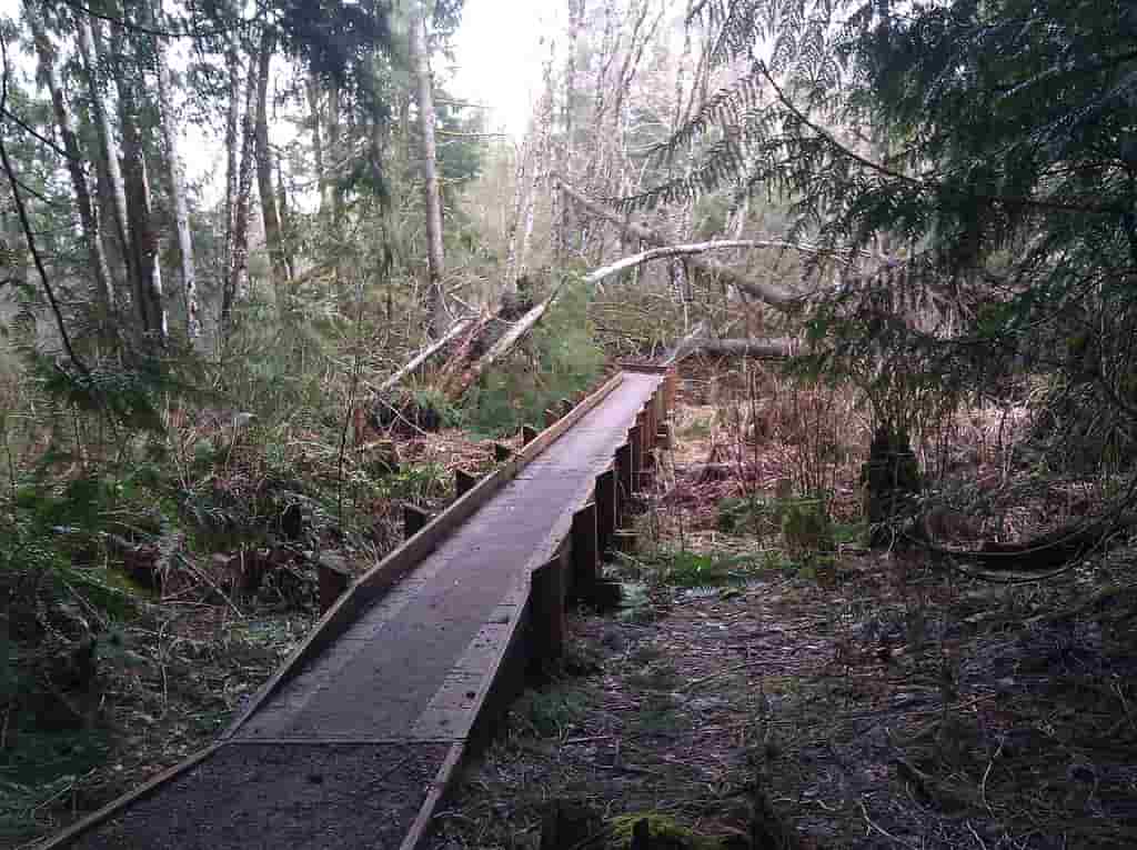 McLane Creek Nature Trail