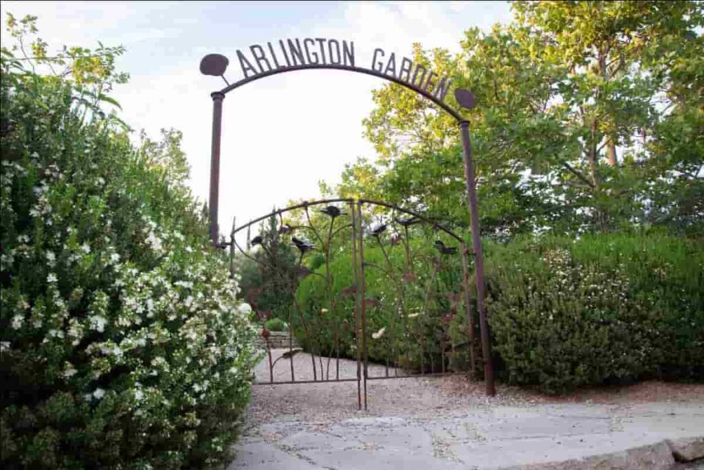 Arlington Garden
