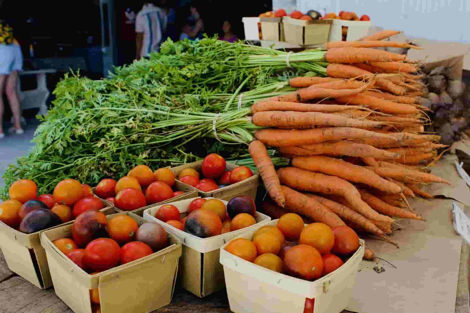 23 Best Things To Do at Lake Of the Ozarks (MO)