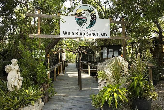 Florida Keys Wild Bird Rehabilitation Center, Key Largo