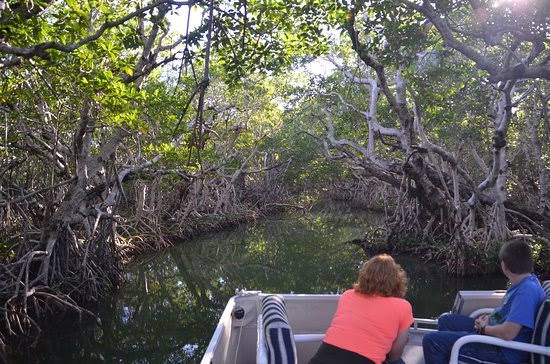 Capt. Sterling's Everglades Eco-Tours, Key Largo