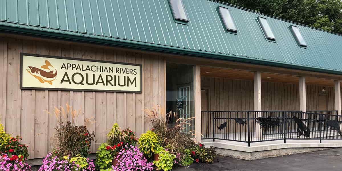  Appalachian River Aquarium