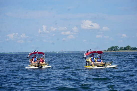 Coastal Backwater Adventures