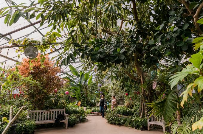 Luthy Botanical Garden, Peoria