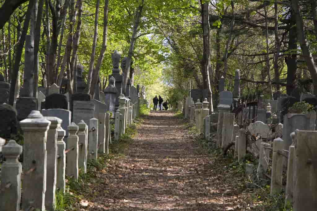 Bayside Cemetery 