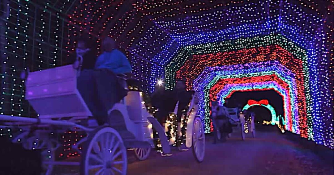 20 Best & Fun Things to do in College Station (Texas)