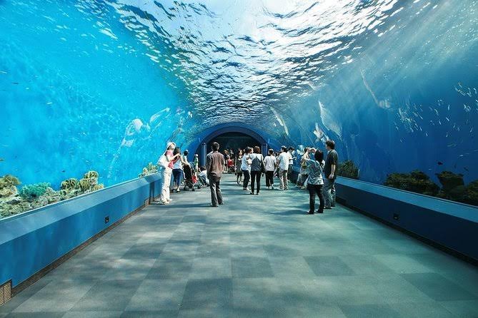 Ripley's Aquarium of Myrtle Beach, South Carolina