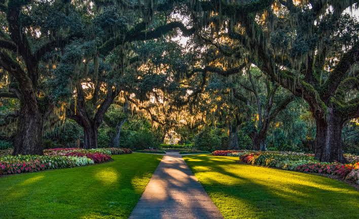 South Carolina Brookgreen Gardens
