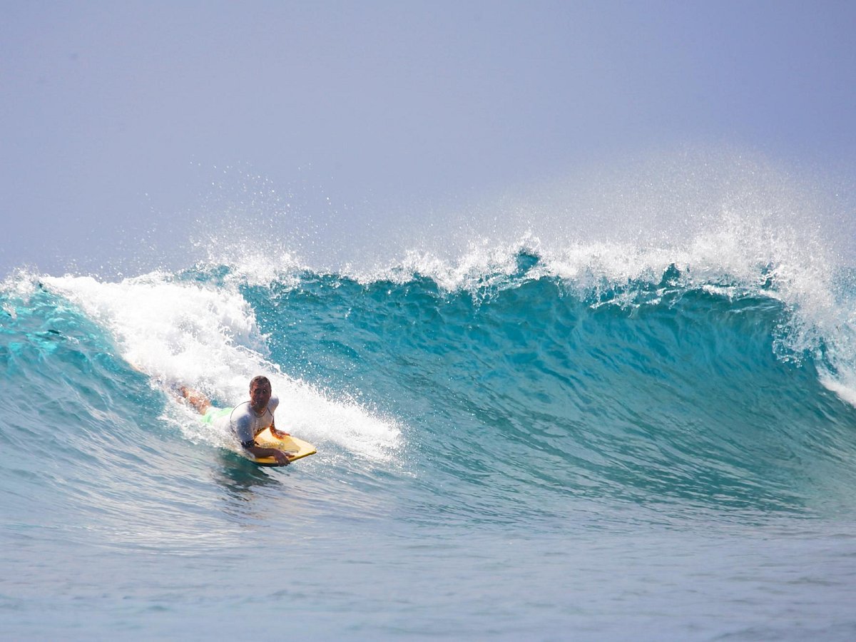 Surfing Monkey, Hawaii