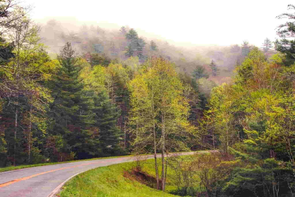 russell-brasstown scenic byway