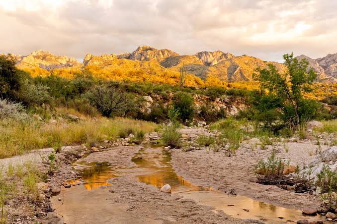 Catalina State Park, Downtown Tucson