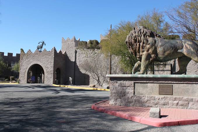 International Wildlife Museum, Downtown Tucson