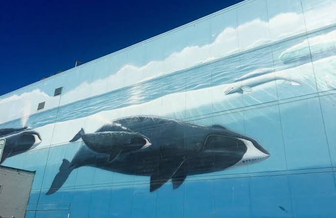 Whaling Wall, Anchorage